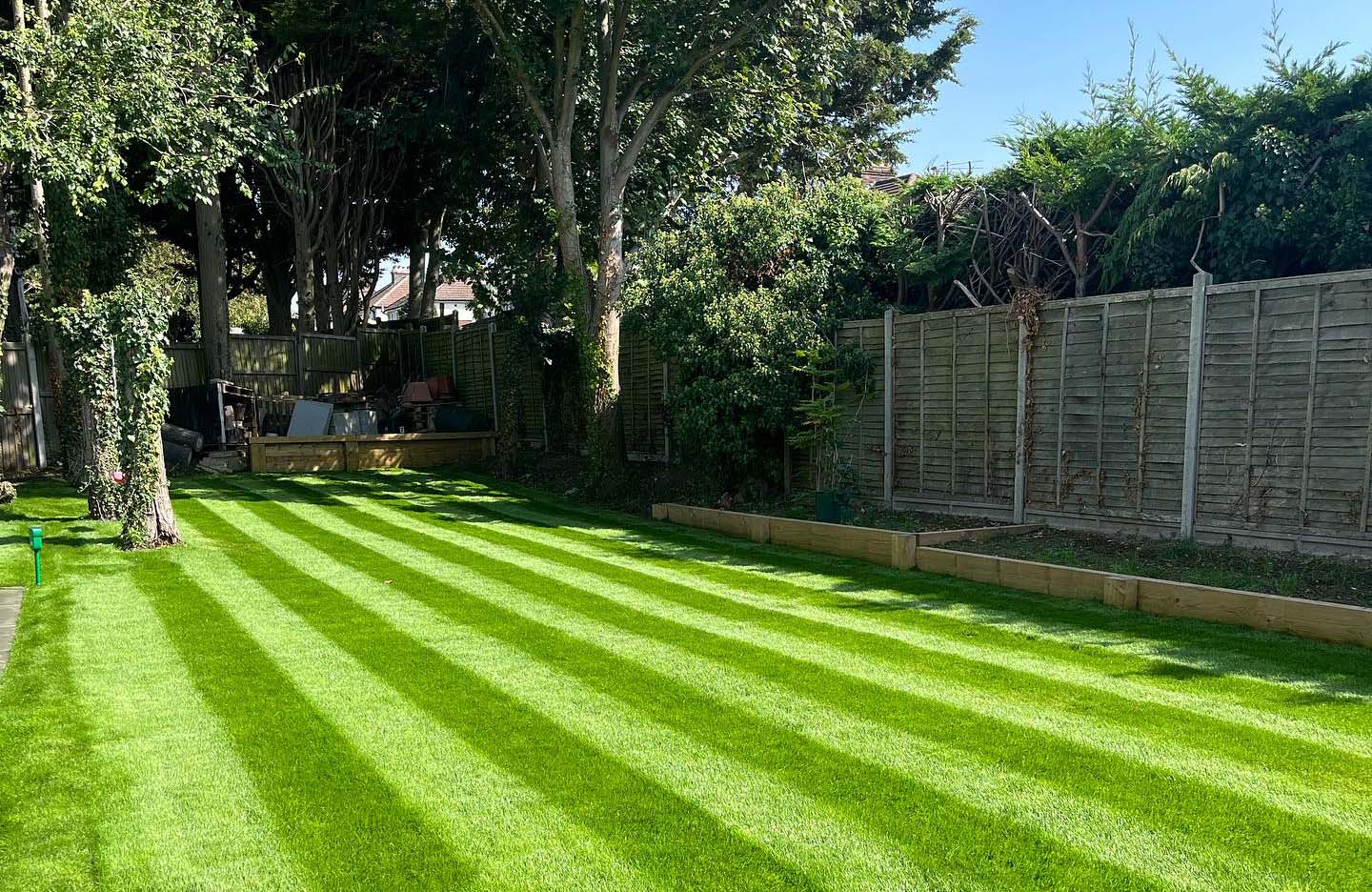 Domestic back garden with fresh cut grass